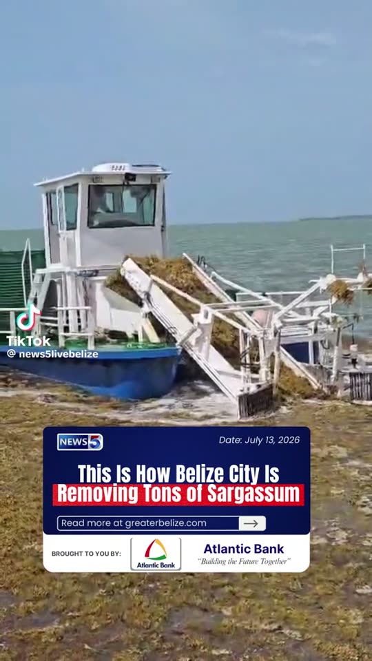 News 5: how Belize City is removing tons of sargassum — Belize City, Belize