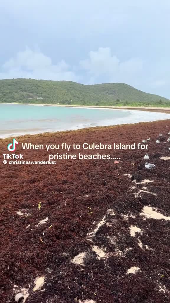 “When you fly to Culebra for pristine beaches…” — Culebra Island