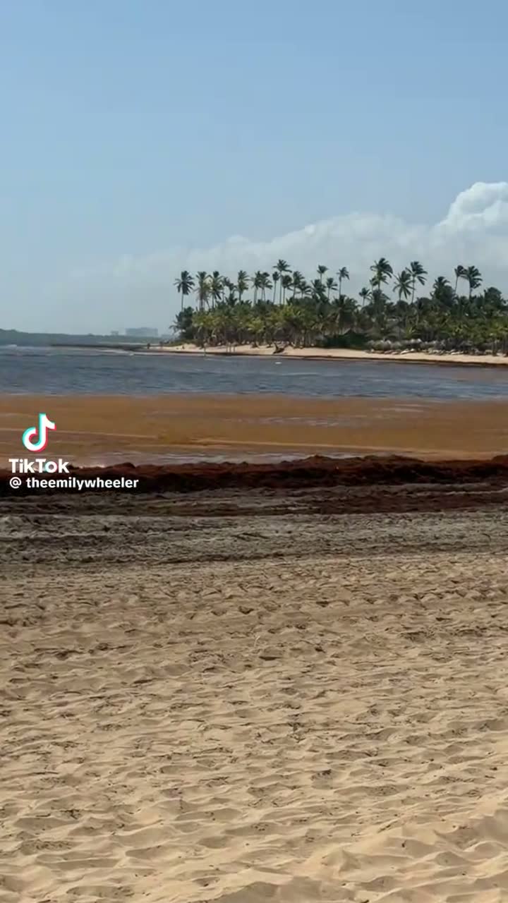 A brown band where the shallows should be — Dominican Republic north coast