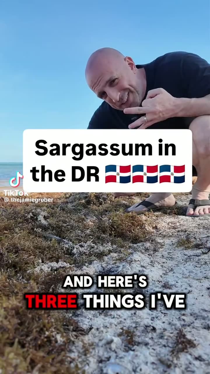 Three things about sargassum in the DR — Dominican Republic
