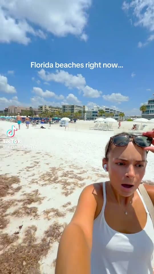 “Florida beaches right now…” — Sarasota County beaches, Florida