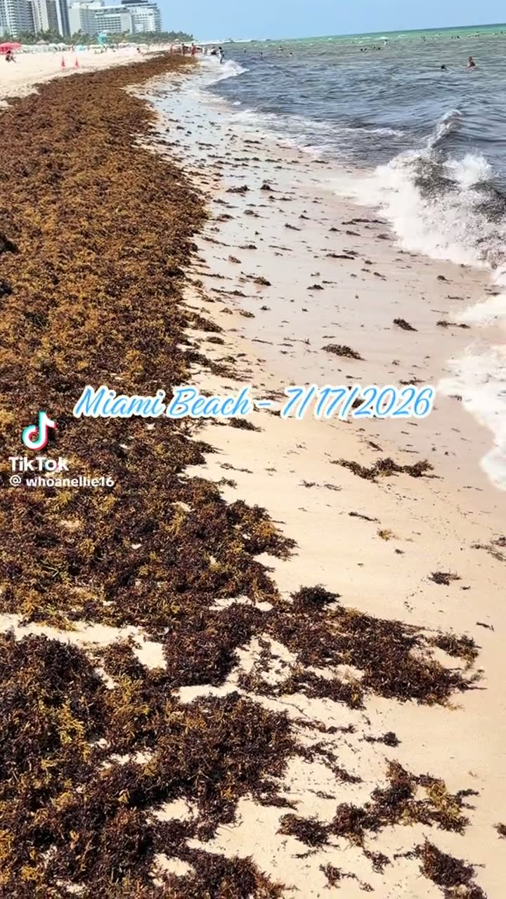 Miami Beach, 17 July 2026 — Miami Beach, Florida