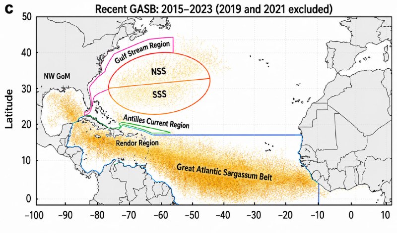 Satellite-derived mean Sargassum coverage 2015–2023 showing a dense, continuous Great Atlantic Sargassum Belt from West Africa to the Gulf of Mexico.