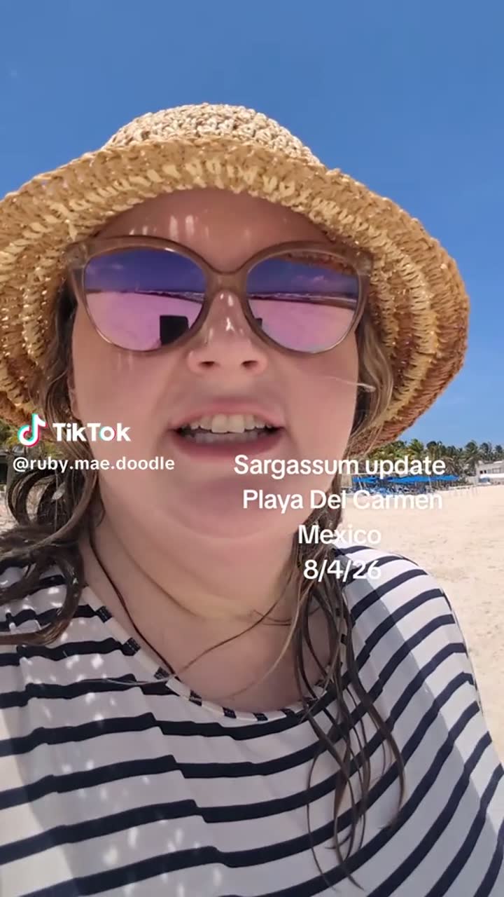 Playa del Carmen sargassum update, 4 Aug 2026 — Playa del Carmen, Quintana Roo