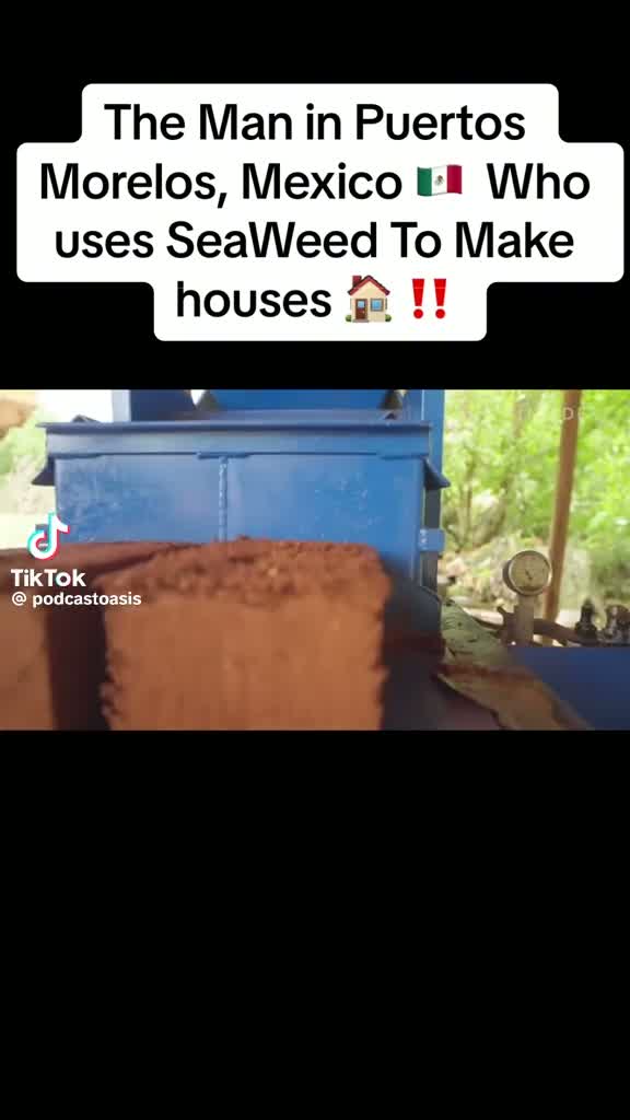 The man turning Sargassum into houses — Puerto Morelos, Quintana Roo