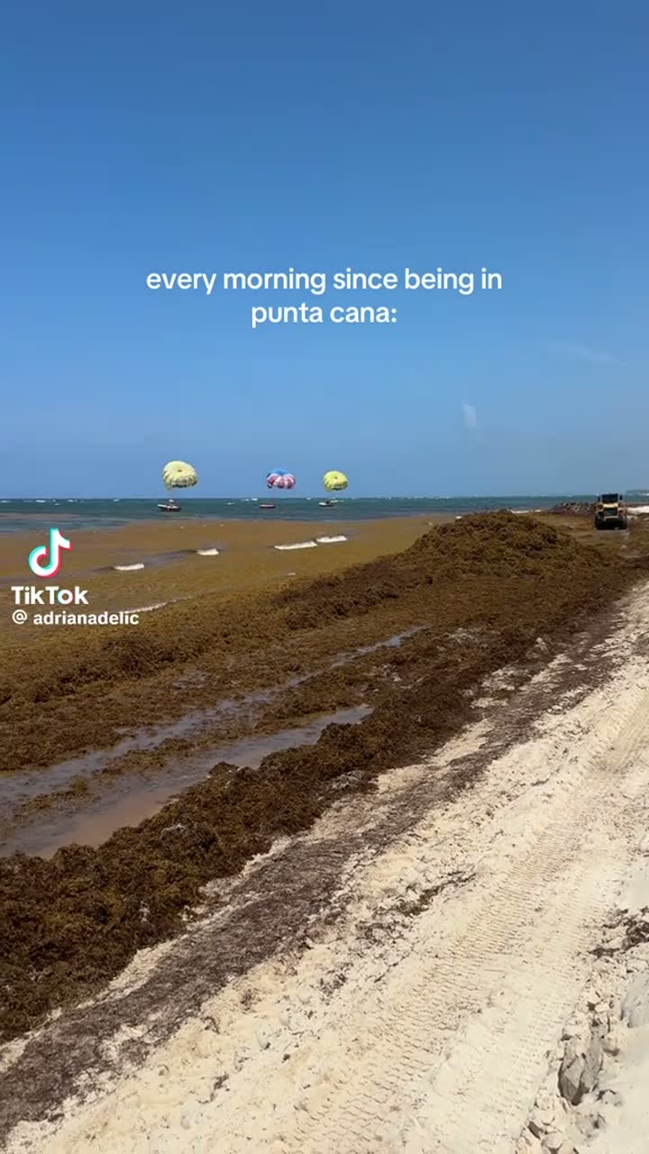“Every morning since being in Punta Cana” — Punta Cana, Dominican Republic