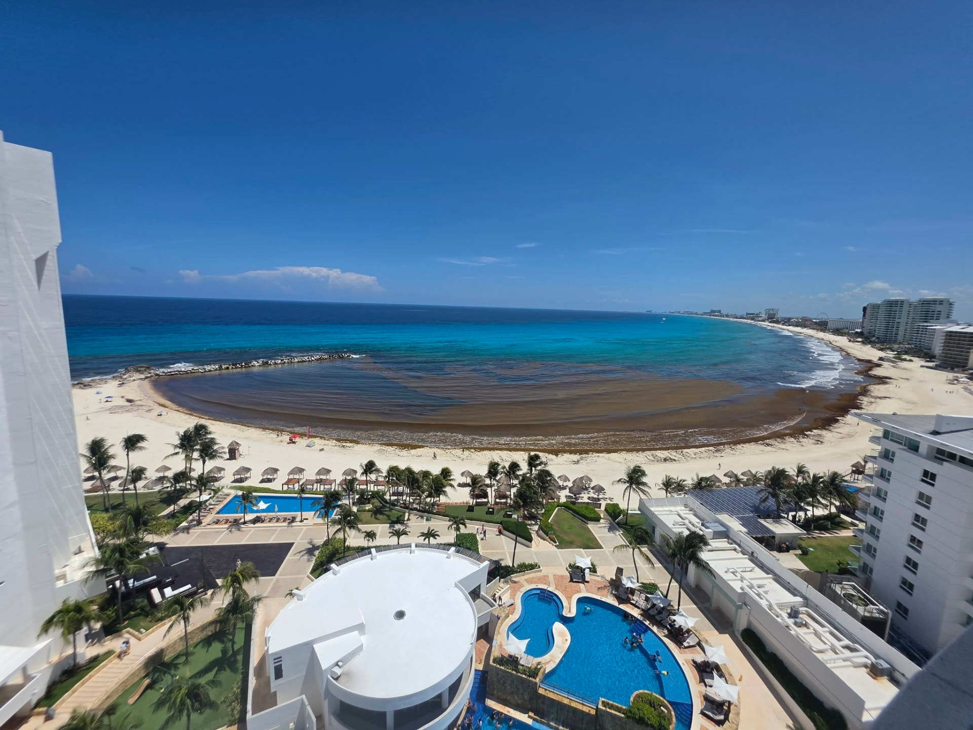 A resort shoreline where a dark brown Sargassum front has replaced turquoise water. Documentary photograph.