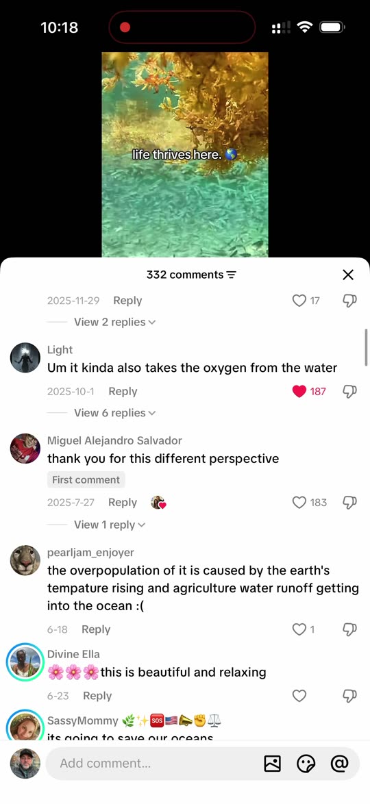 “Life thrives here” — 332 comments on the habitat argument — Great Atlantic Sargassum Belt
