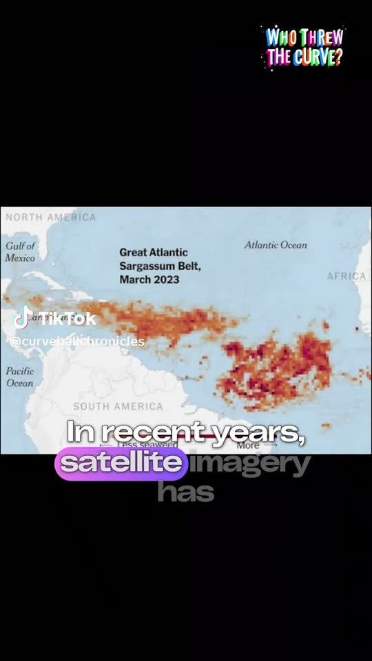 Satellite imagery explainer: the Great Atlantic Sargassum Belt — Africa to the Gulf of Mexico