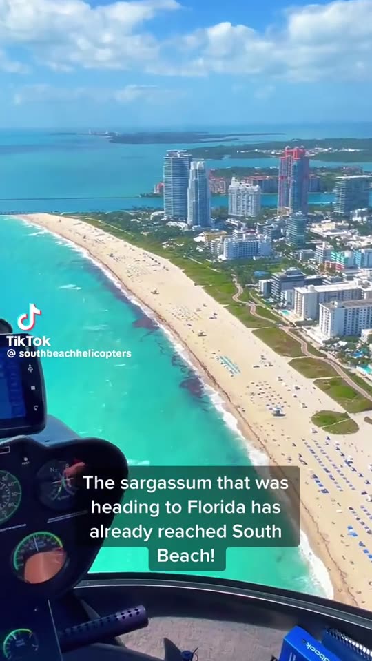 Helicopter view: the belt has already reached South Beach — South Beach, Miami Beach, Florida