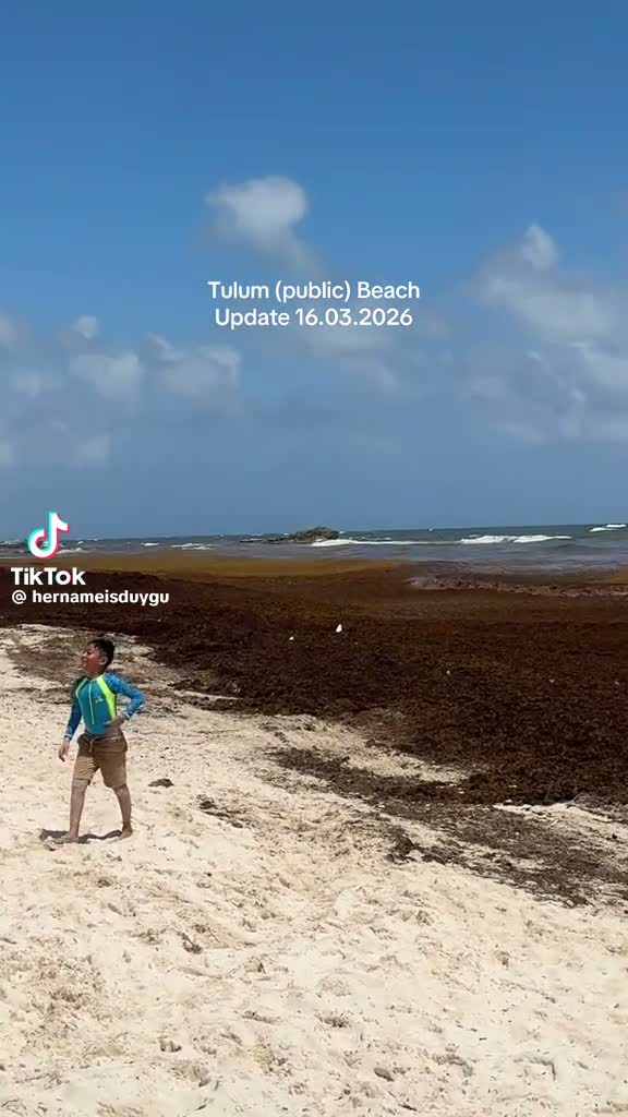 Tulum public beach update — Tulum, Quintana Roo